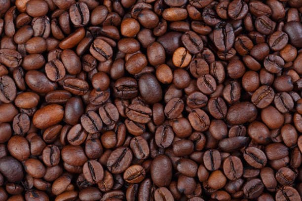 تصویر 2 از قیمت خرید قهوه روبوستا پی بی + فروش ویژه